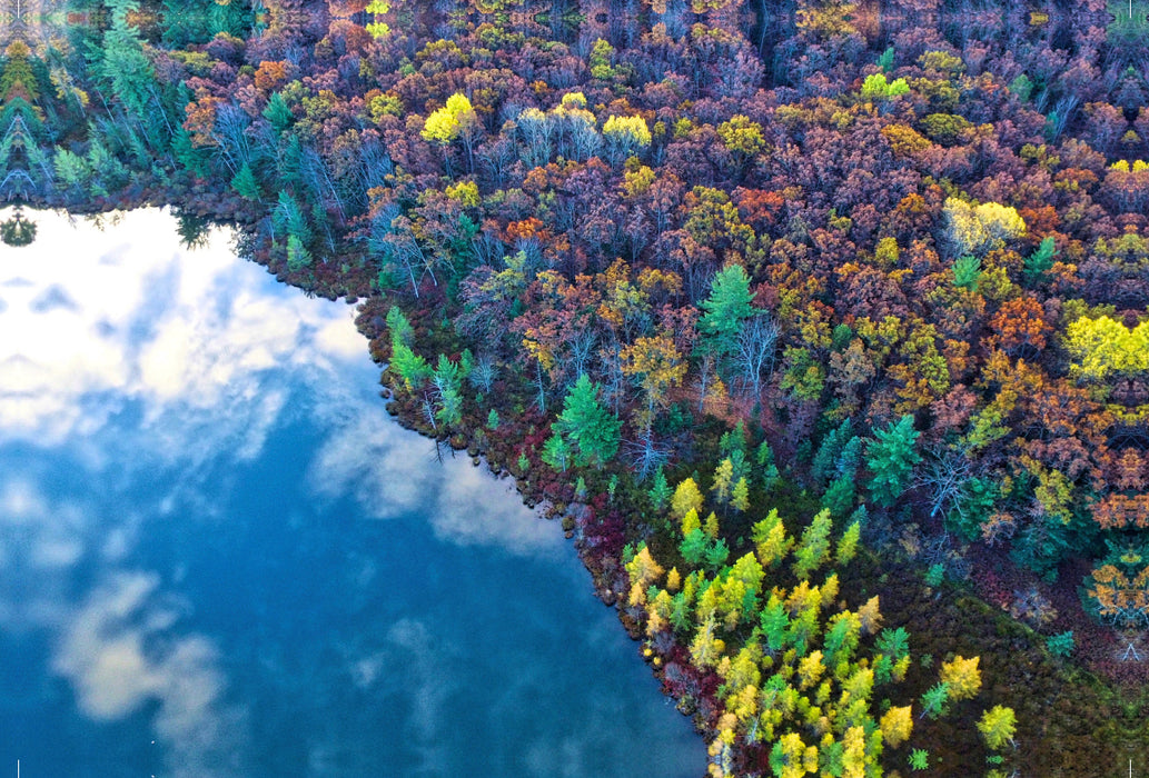 Premium textile canvas Premium textile canvas 120 cm x 80 cm landscape Autumnal forest on the lakeshore from a bird's eye view 