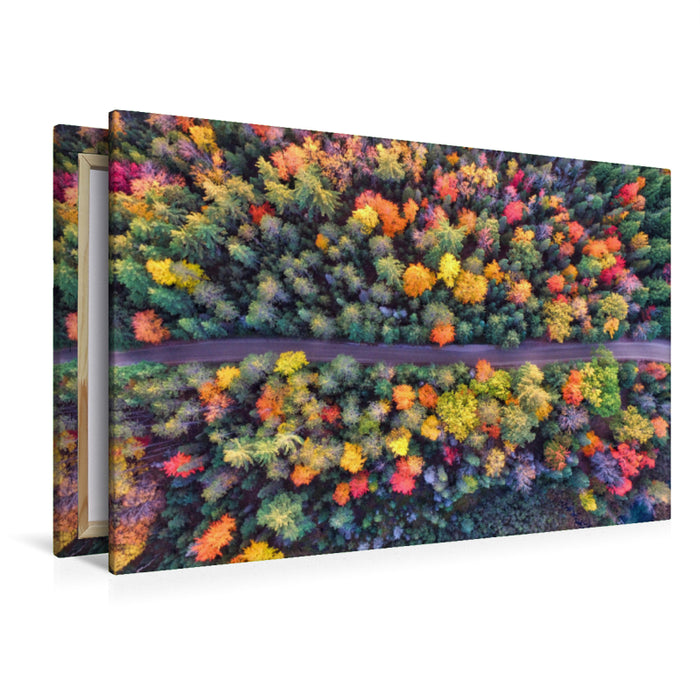 Premium textile canvas Premium textile canvas 120 cm x 80 cm landscape Splendor of the forest in Indian summer 