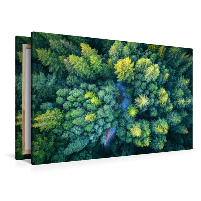 Premium textile canvas Premium textile canvas 120 cm x 80 cm landscape The forest from above 