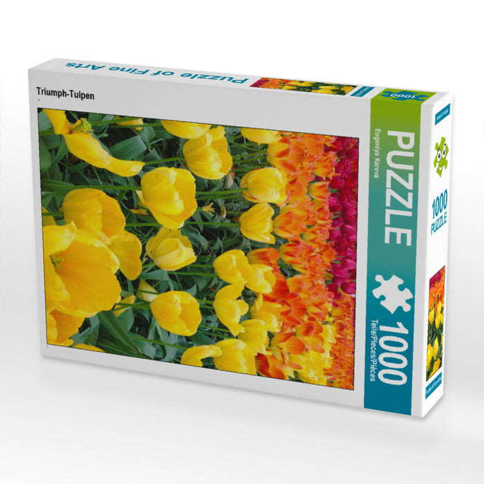 Triumph-Tulpen - CALVENDO Foto-Puzzle - calvendoverlag 29.99