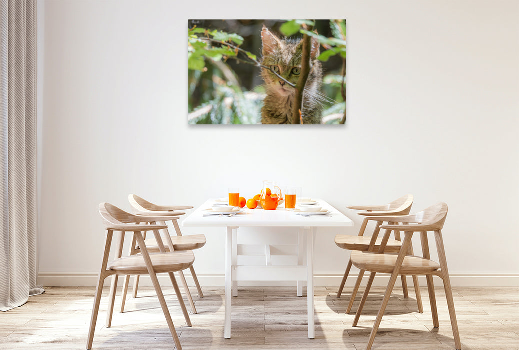 Premium textile canvas Premium textile canvas 120 cm x 80 cm landscape A motif from the calendar Wildcat Babies - wild and sweet. 