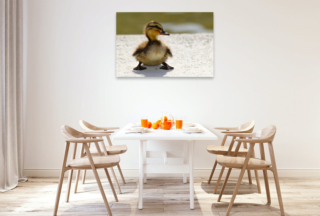 Premium textile canvas Premium textile canvas 120 cm x 80 cm landscape A cute chick 