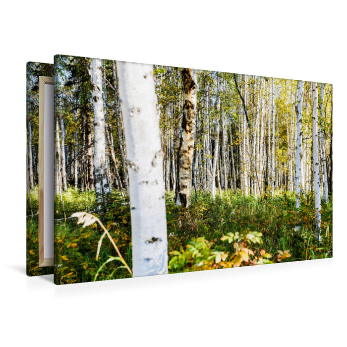 Premium textile canvas Premium textile canvas 120 cm x 80 cm across A motif from the calendar Landscapes in North and South 