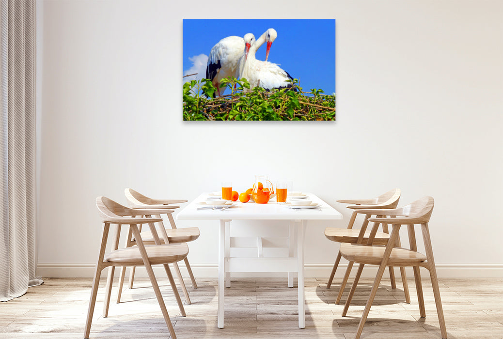 Premium textile canvas Premium textile canvas 120 cm x 80 cm landscape A motif from the calendar Storks in Alsace 