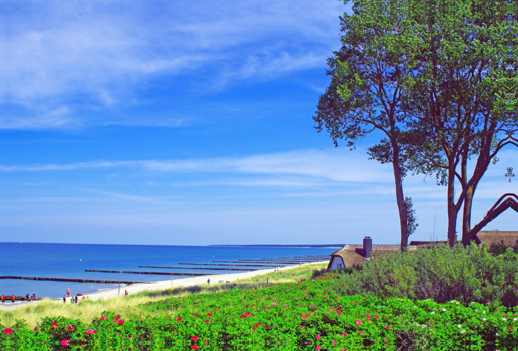 Premium textile canvas Premium textile canvas 120 cm x 80 cm landscape beach near Ahrenshoop 