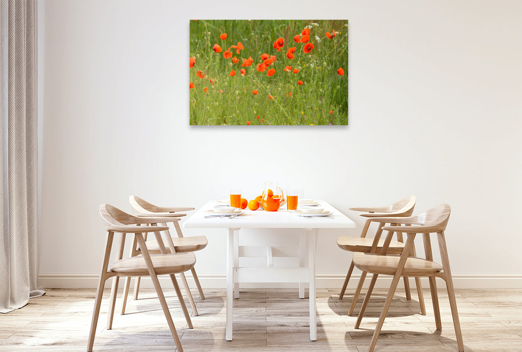 Premium textile canvas Premium textile canvas 120 cm x 80 cm landscape "Dream meadows on Texel" - Calvendo calendar 