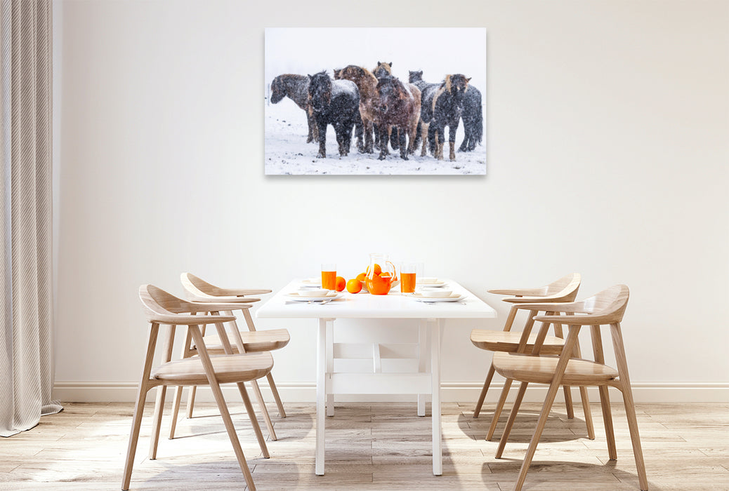 Premium textile canvas Premium textile canvas 120 cm x 80 cm across Heavy snowfalls cause the stallions to move closer together. 