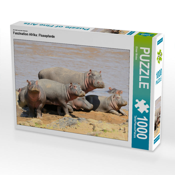 Faszination Afrika: Flusspferde - CALVENDO Foto-Puzzle - calvendoverlag 29.99