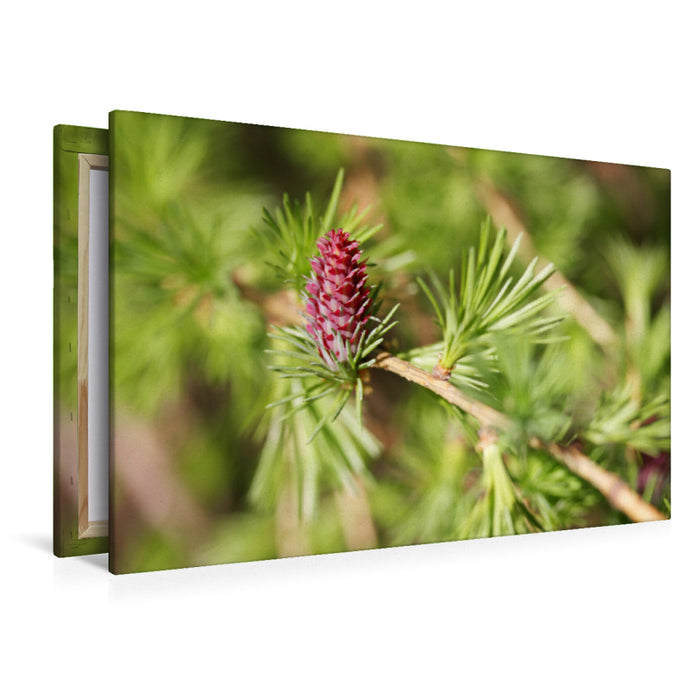 Premium textile canvas Premium textile canvas 120 cm x 80 cm landscape larch blossom in spring 