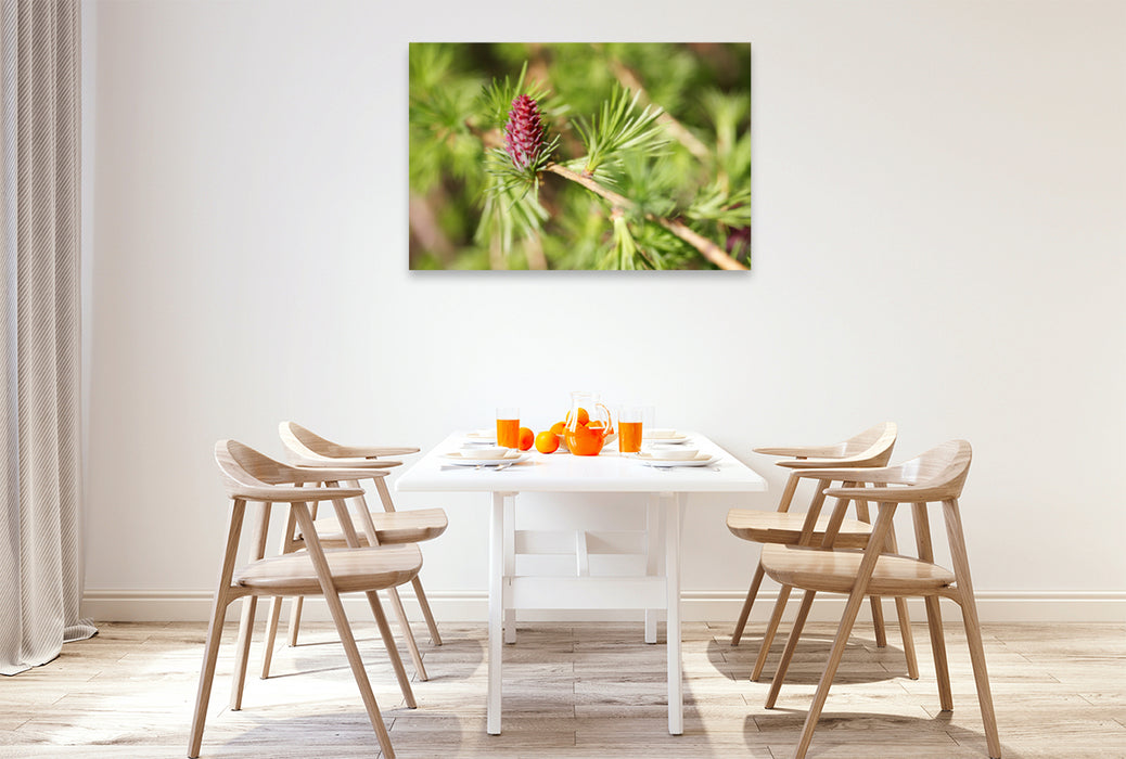 Premium textile canvas Premium textile canvas 120 cm x 80 cm landscape larch blossom in spring 