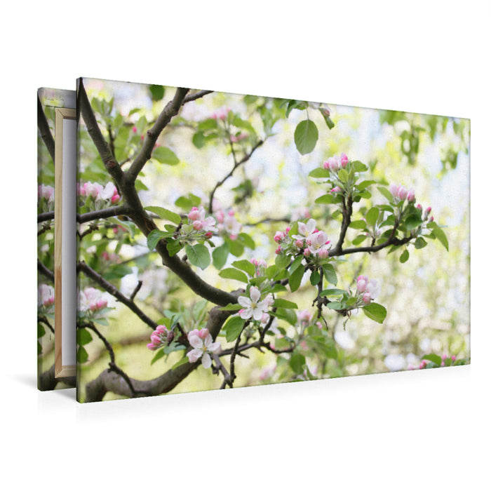 Premium textile canvas Premium textile canvas 120 cm x 80 cm landscape Blooming branches 