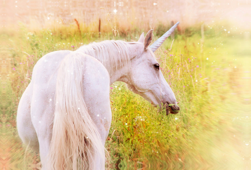 Premium textile canvas Premium textile canvas 120 cm x 80 cm landscape unicorns - fairytale horses 