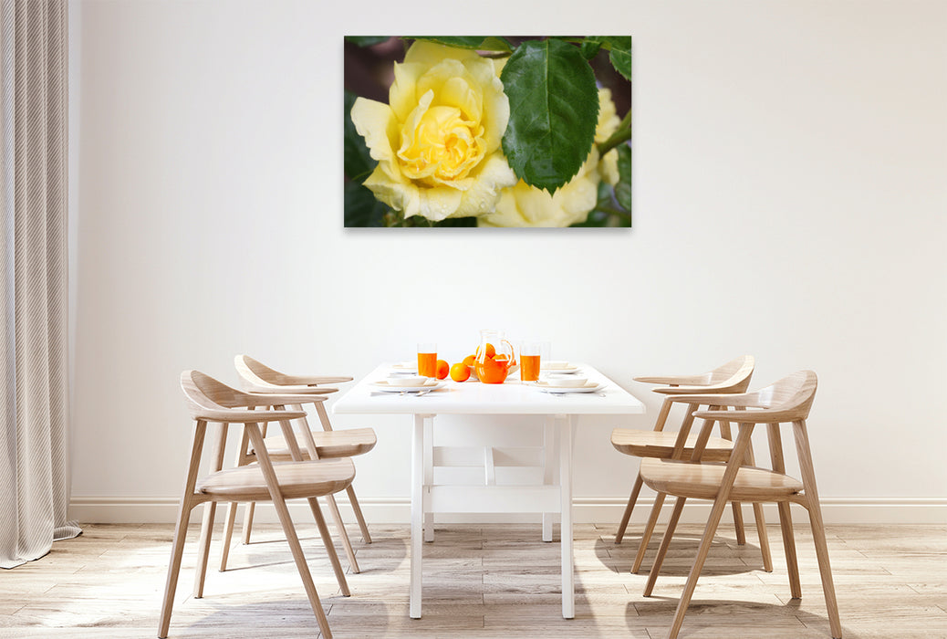 Premium textile canvas Premium textile canvas 120 cm x 80 cm landscape pink 'Yellow Meilove' 