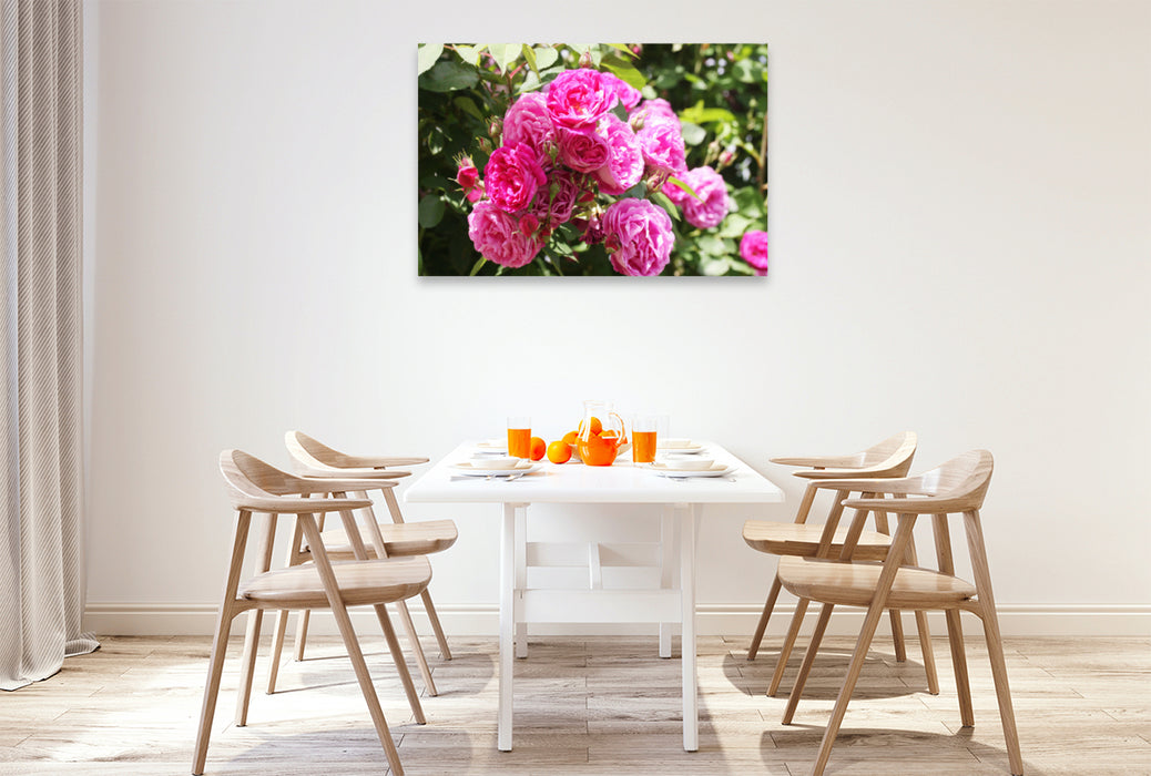 Premium textile canvas Premium textile canvas 120 cm x 80 cm landscape Pink climbing rose 