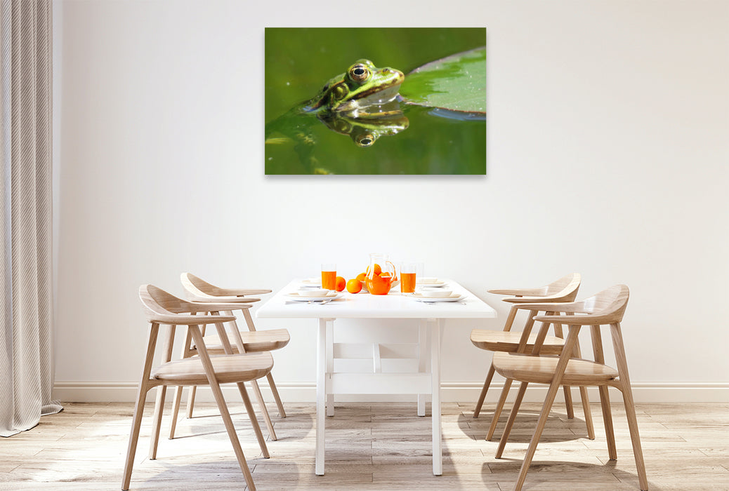 Premium textile canvas Premium textile canvas 120 cm x 80 cm landscape Frog reflected in the water 