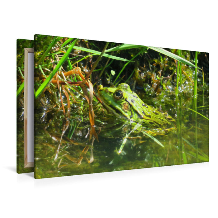 Premium textile canvas Premium textile canvas 120 cm x 80 cm landscape To catch flies 