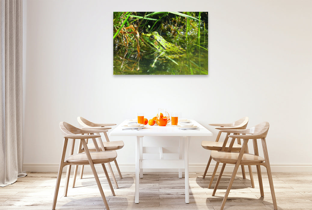 Premium textile canvas Premium textile canvas 120 cm x 80 cm landscape To catch flies 