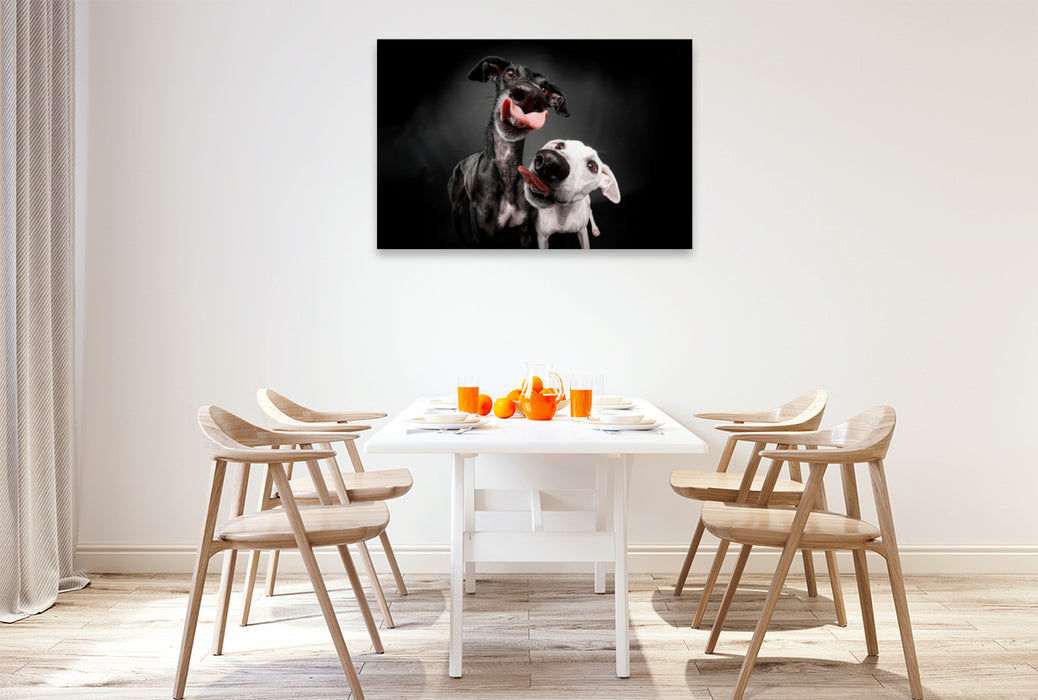 Premium textile canvas Premium textile canvas 120 cm x 80 cm landscape Double greyhound kiss 