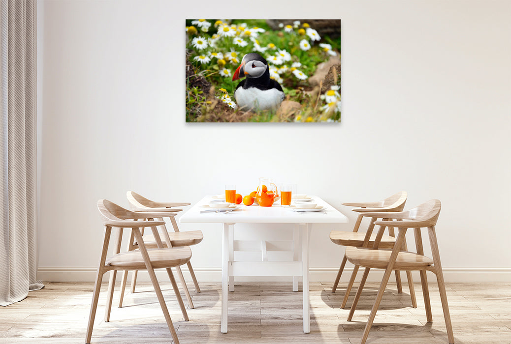 Premium textile canvas Premium textile canvas 120 cm x 80 cm landscape Puffin at Latrabjarg 