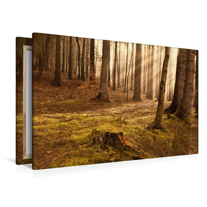 Premium textile canvas Premium textile canvas 120 cm x 80 cm landscape sunrise in the forest 