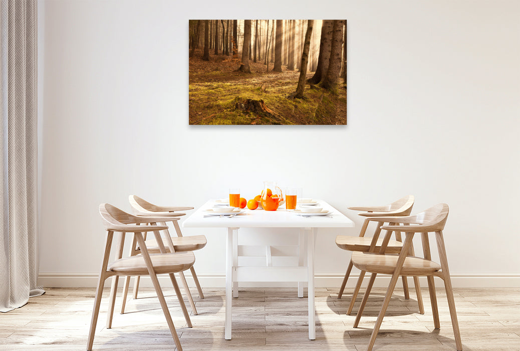 Premium textile canvas Premium textile canvas 120 cm x 80 cm landscape sunrise in the forest 