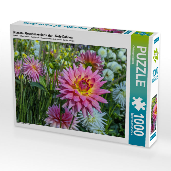 Blumen - Geschenke der Natur - Rote Dahlien - CALVENDO Foto-Puzzle - calvendoverlag 29.99