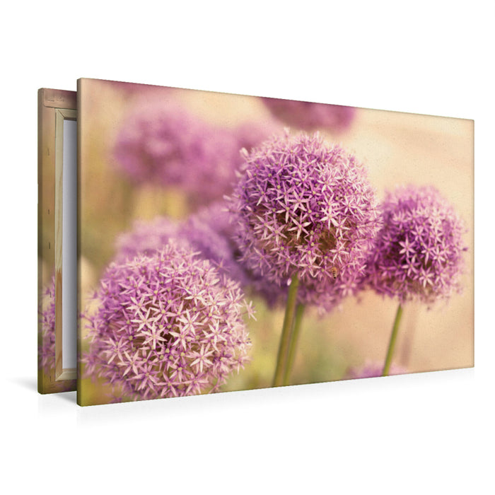 Premium textile canvas Premium textile canvas 120 cm x 80 cm across A motif from the calendar Blossom Symphonies from the gardens of the world 