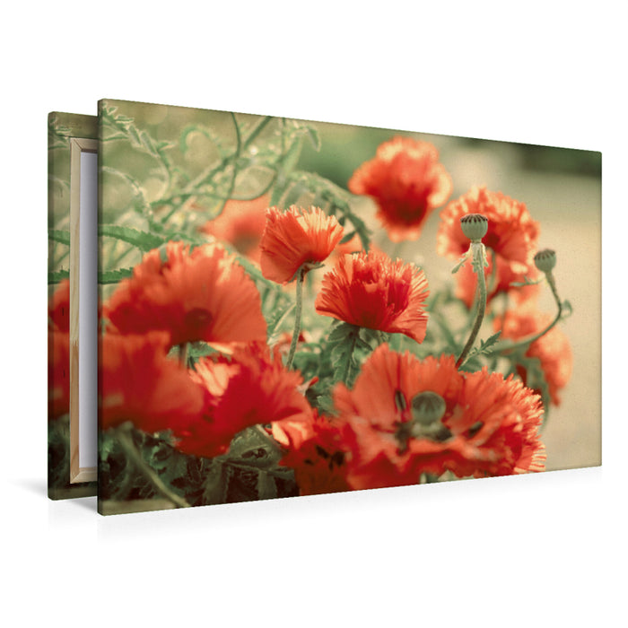 Premium Textil-Leinwand Premium Textil-Leinwand 120 cm x 80 cm quer Ein Motiv aus dem Kalender Blüten Symphonien aus den Gärten dieser Erde