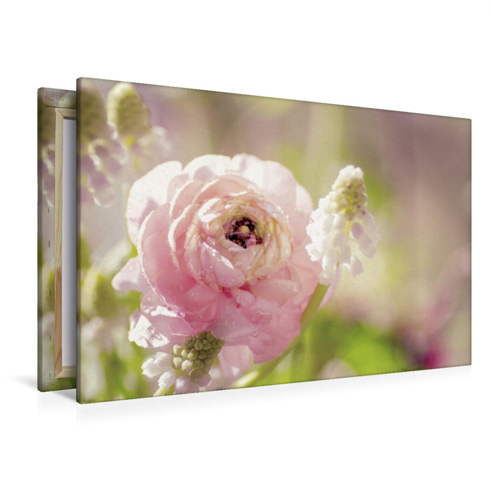 Premium textile canvas Premium textile canvas 120 cm x 80 cm landscape Delicate ranunculus in pink 
