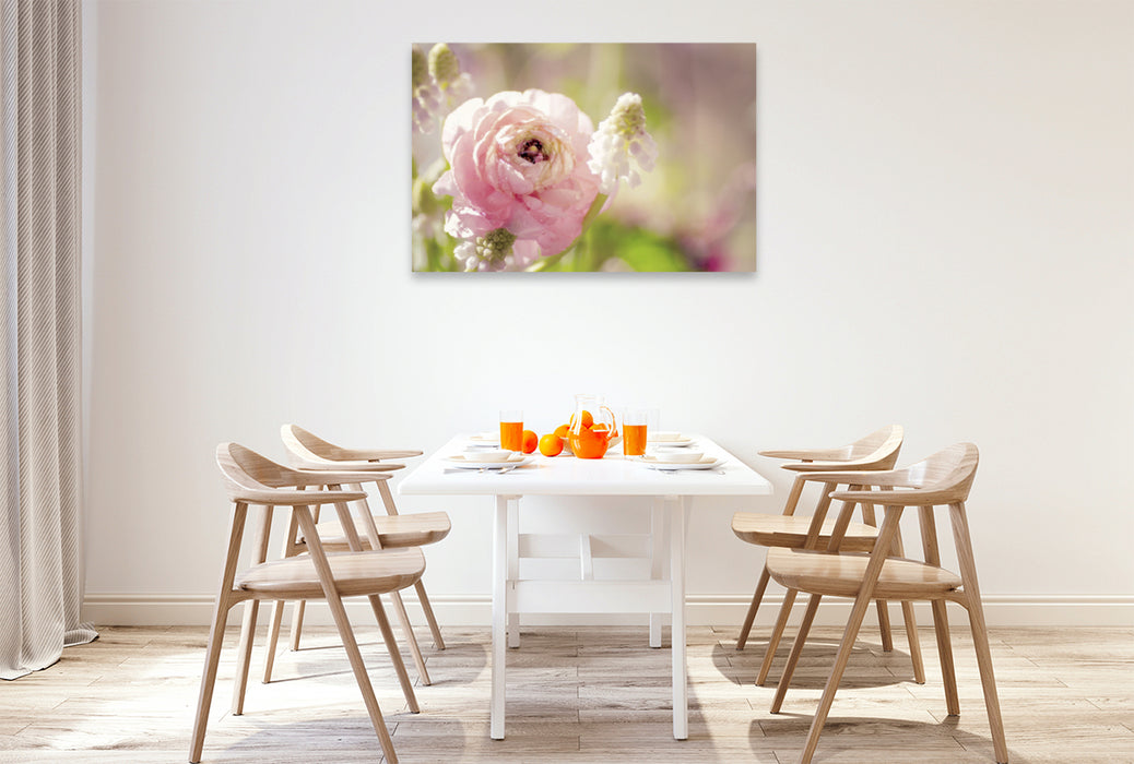 Premium textile canvas Premium textile canvas 120 cm x 80 cm landscape Delicate ranunculus in pink 