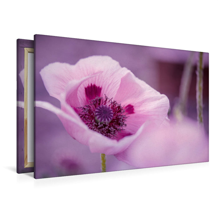 Premium textile canvas Premium textile canvas 120 cm x 80 cm across A motif from the calendar Blossom Symphonies from the gardens of the world 