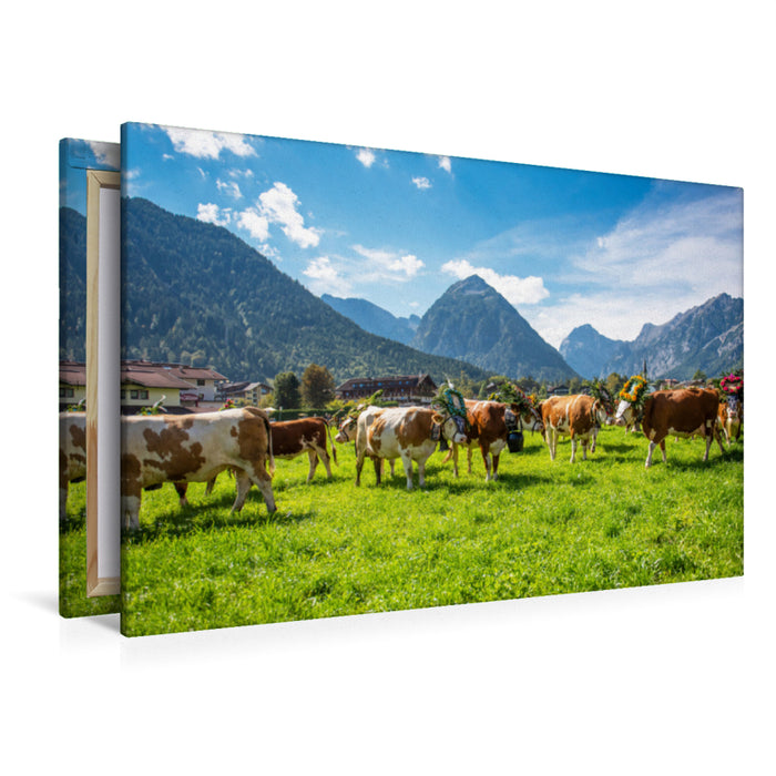 Premium textile canvas Premium textile canvas 120 cm x 80 cm landscape Almabtrieb in Pertisau 