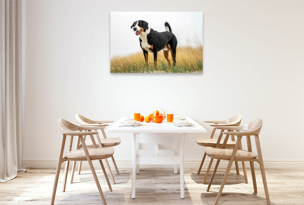 Premium textile canvas Premium textile canvas 120 cm x 80 cm landscape Appenzeller Mountain Dog male 