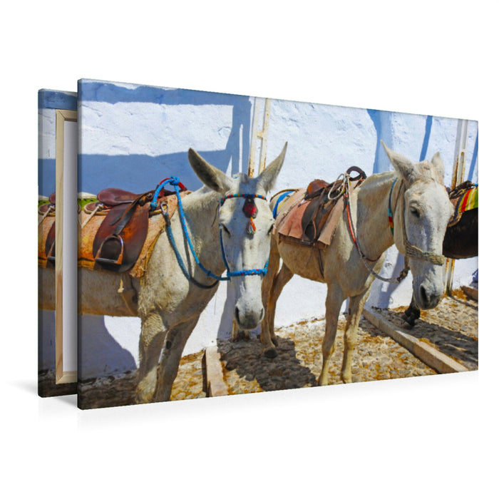 Premium textile canvas Premium textile canvas 120 cm x 80 cm landscape Donkey on the Greek island of Santorini 