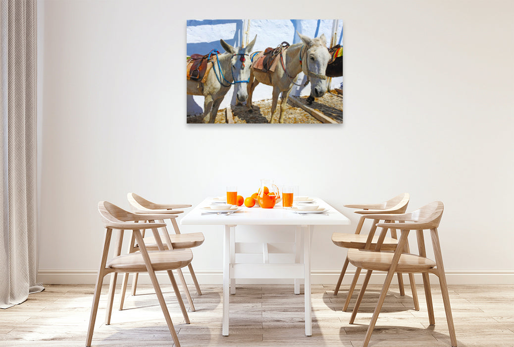 Premium textile canvas Premium textile canvas 120 cm x 80 cm landscape Donkey on the Greek island of Santorini 
