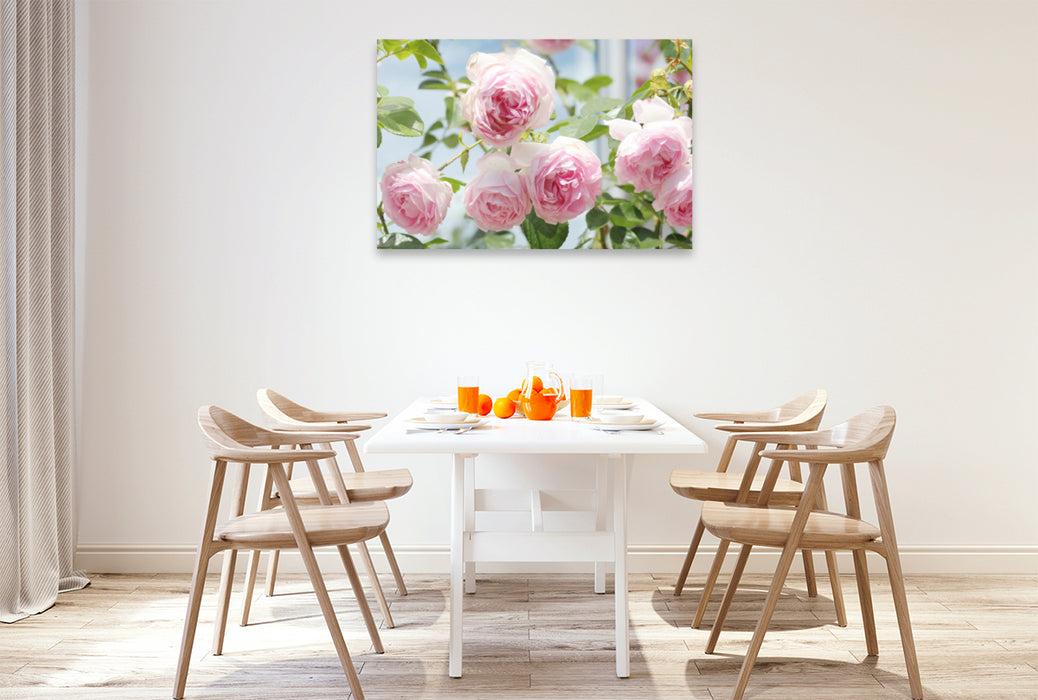 Premium textile canvas Premium textile canvas 120 cm x 80 cm landscape Rose 'Jasmina' 