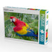 Papageien in Costa Rica - CALVENDO Foto-Puzzle - calvendoverlag 29.99