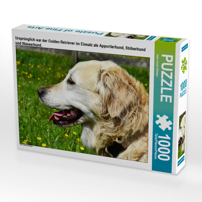 Ursprünglich war der Golden Retriever im Einsatz als Apportierhund, Stöberhund und Wasserhund. - CALVENDO Foto-Puzzle - calvendoverlag 29.99