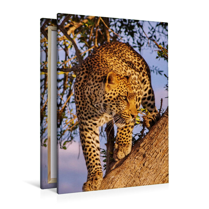 Premium Textil-Leinwand Premium Textil-Leinwand 80 cm x 120 cm  hoch Leopard