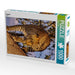 Leopard - CALVENDO Foto-Puzzle - calvendoverlag 29.99