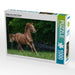 Galopp unter freiem Himmel - CALVENDO Foto-Puzzle - calvendoverlag 29.99