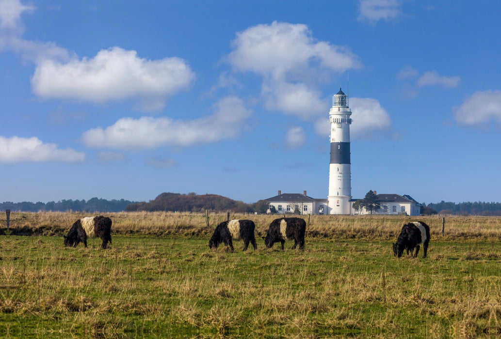 Premium textile canvas Premium textile canvas 120 cm x 80 cm landscape Lighthouse Langer Christian on Sylt 