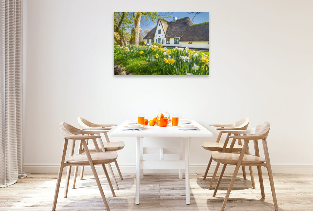 Premium textile canvas Premium textile canvas 120 cm x 80 cm across Historical thatched roof house with daffodils on Sylt 