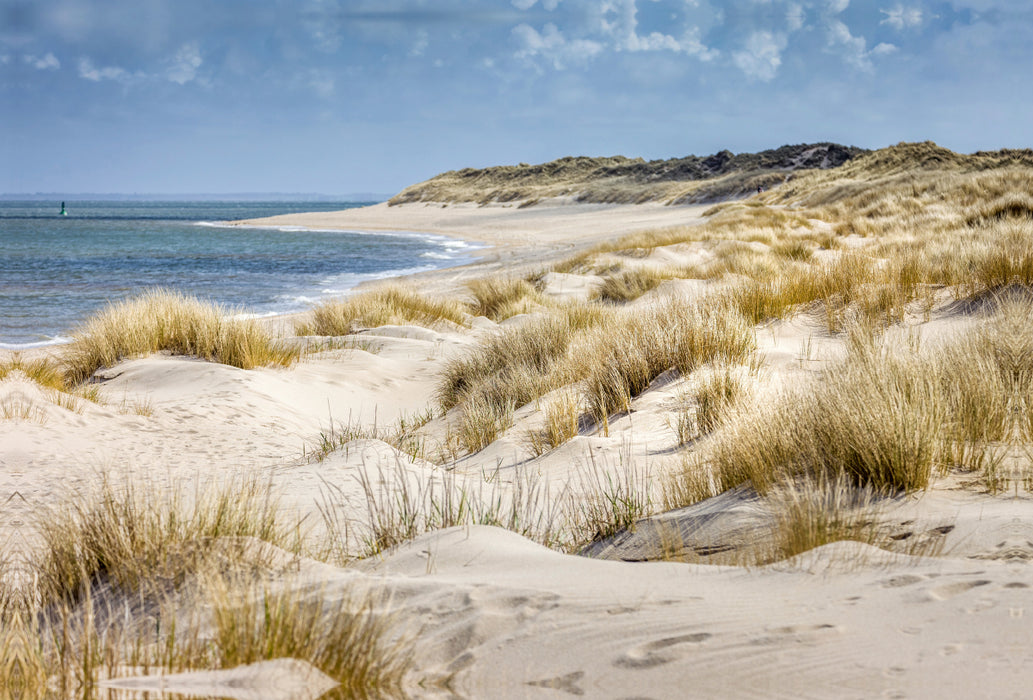 Toile textile haut de gamme Toile textile haut de gamme 120 cm x 80 cm paysage paysage de dunes dans la réserve naturelle d'Ellenbogen à Sylt 