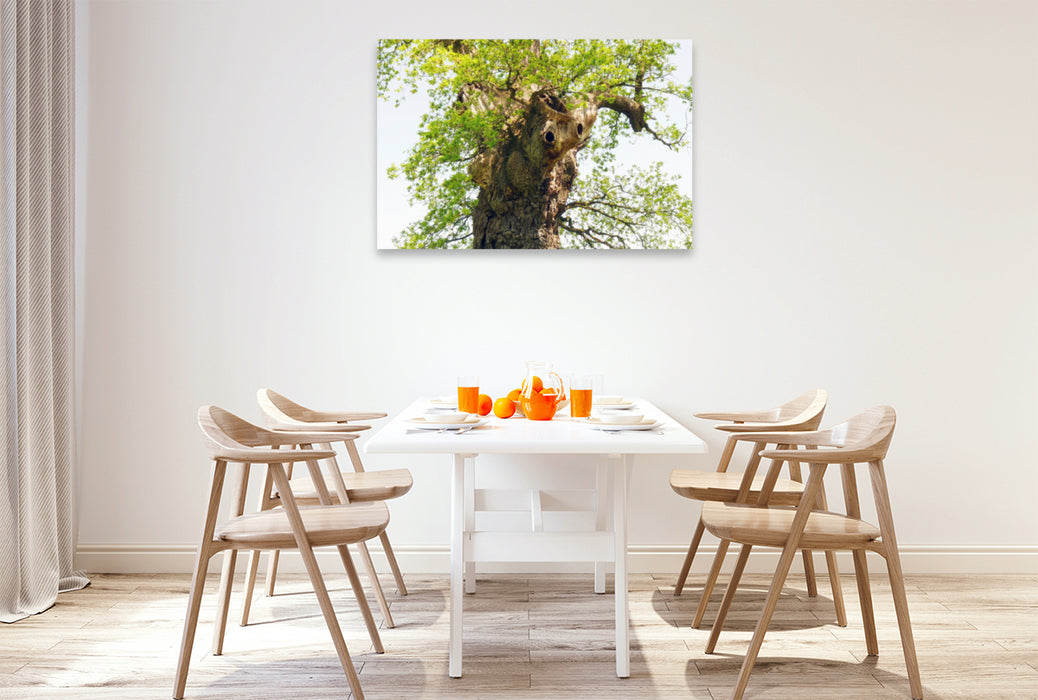 Premium textile canvas Premium textile canvas 120 cm x 80 cm landscape Old tree with character 