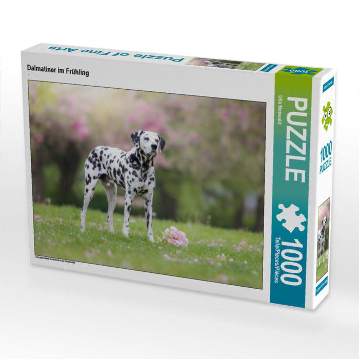 Dalmatiner im Frühling - CALVENDO Foto-Puzzle - calvendoverlag 29.99