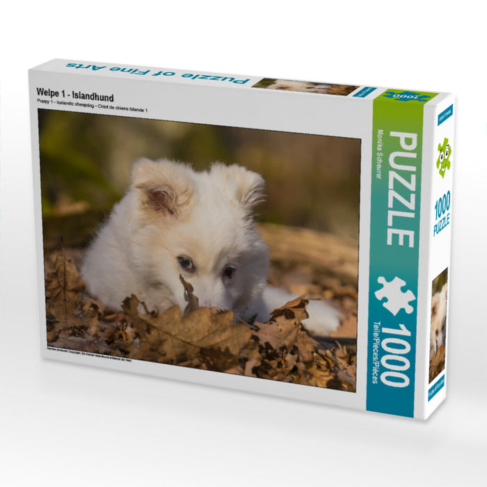 Welpe 1 - Islandhund - CALVENDO Foto-Puzzle - calvendoverlag 29.99