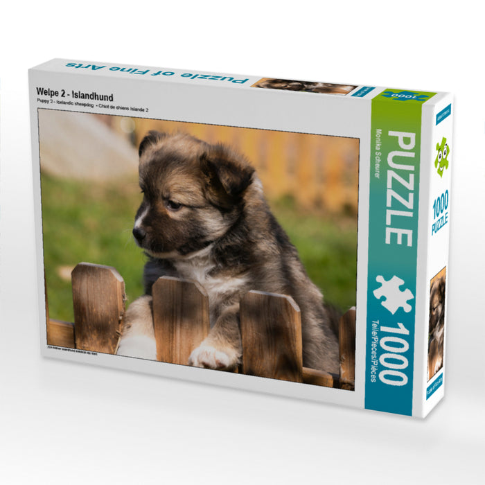 Welpe 2 - Islandhund - CALVENDO Foto-Puzzle - calvendoverlag 29.99