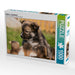 Welpe 2 - Islandhund - CALVENDO Foto-Puzzle - calvendoverlag 29.99