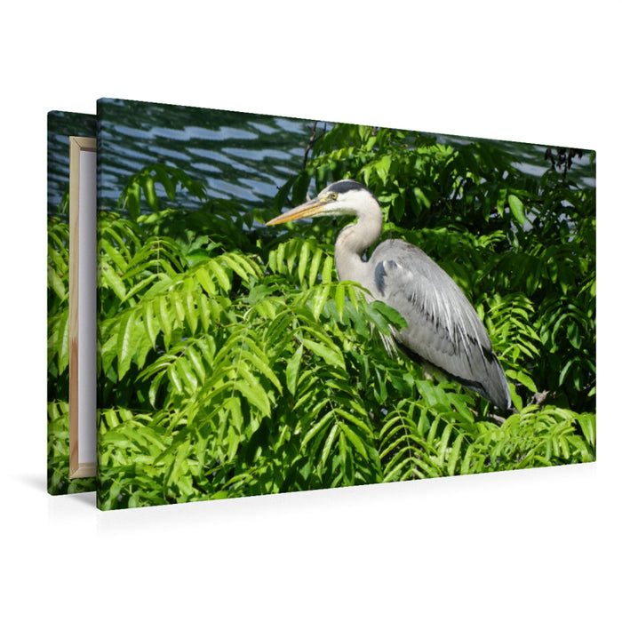 Premium textile canvas Premium textile canvas 120 cm x 80 cm landscape Gray Heron 